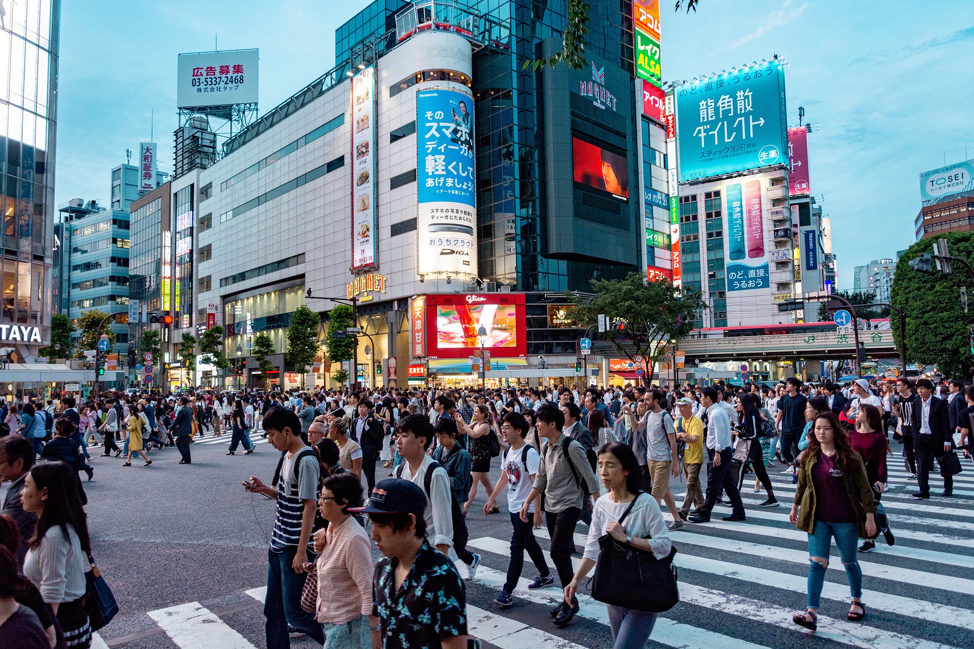 L'incrocio di L'incrocio di Shibuya, a Tokyo. Il mercato del Giappone ha sovraperformato e nel corso del 2024 dobbiamo aspettarci un ulteriore rafforzamento dello yen, secondo Marcell Zimmermann di Lemanik.