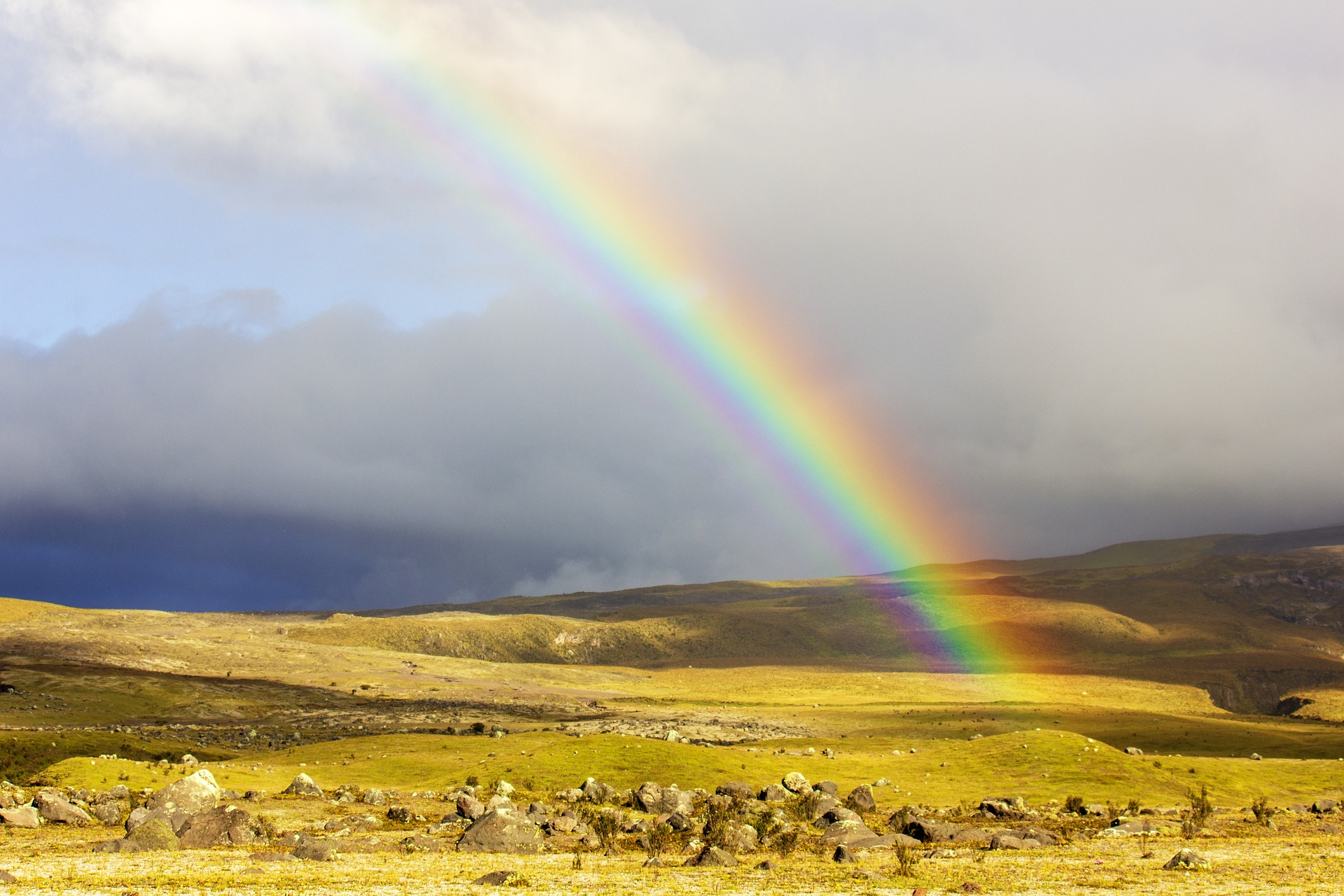 Un progetto in Ecuador di Altromercato e Loacker per migliorare le attività produttive delle comunità locali ha generato un ritorno triplo rispetto agli investimenti, con un valore sociale ripartito in modo condiviso tra tutti gli stakeholder.